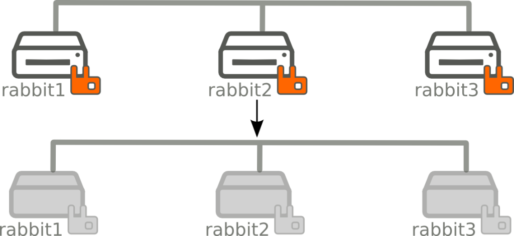 rabbit_disaster